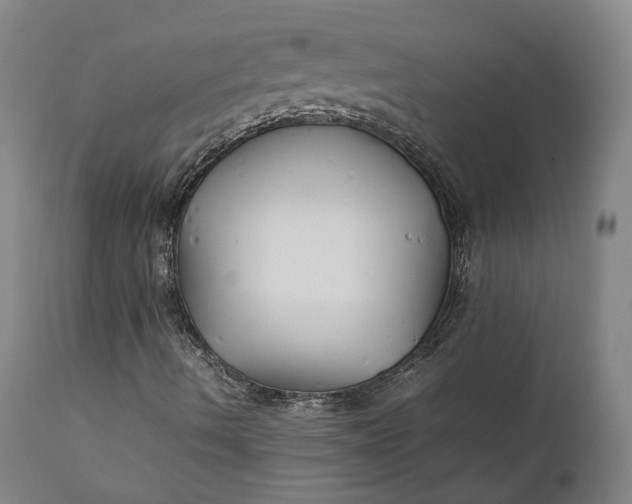 X0000111211490200907151425