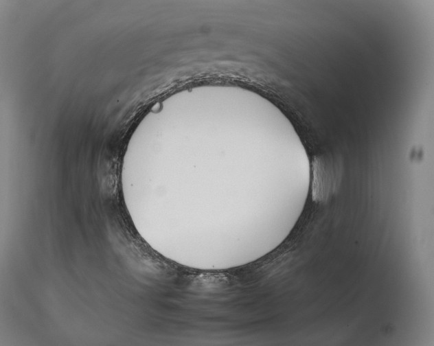 X0000111211491200907151425