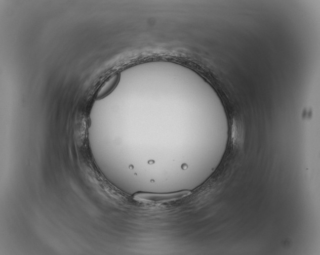 X0000111211492200907151425