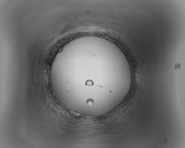 X0000111211493200907151425