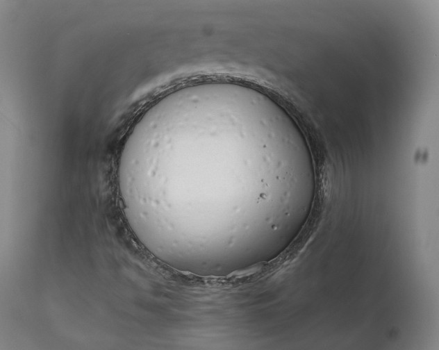 X0000111211494200907151425