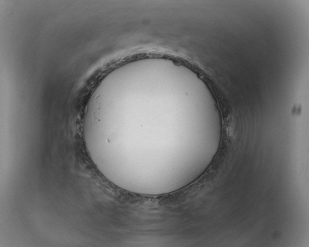 X0000111211495200907151425