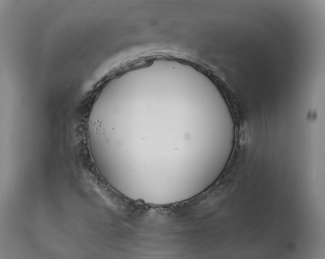 X0000111211496200907151425