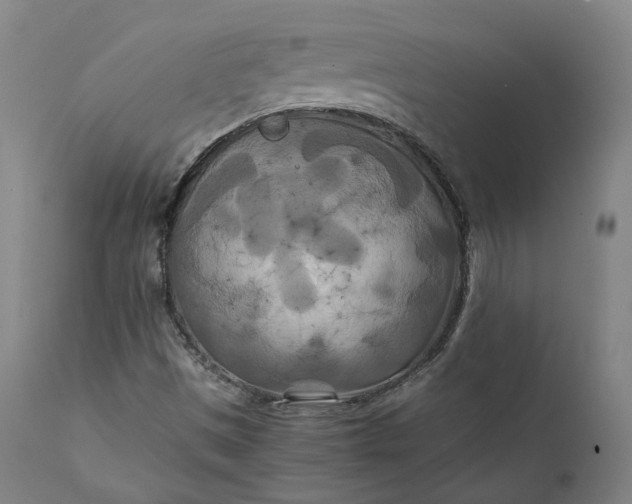 X0000111211497200907151425