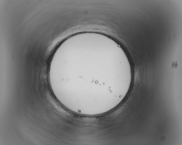 X0000111211498200907151425