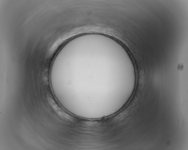 X0000111211499200907151425