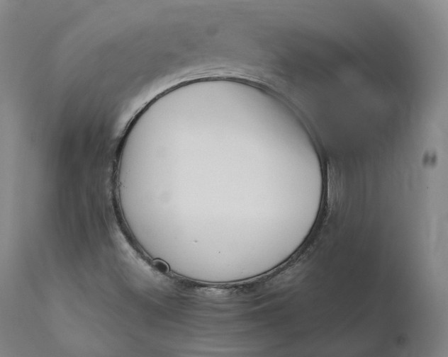 X0000111211500200907151425