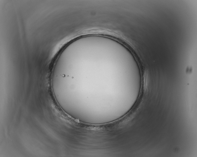 X0000111211501200907151425