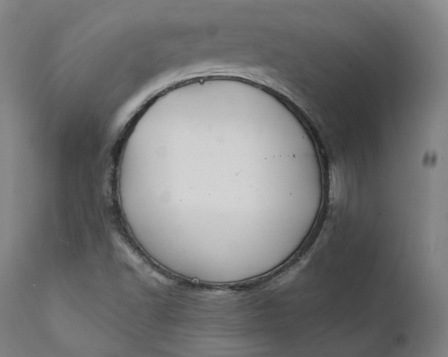 X0000111211502200907151425