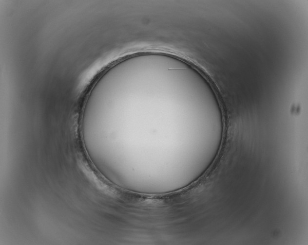 X0000111211503200907151425