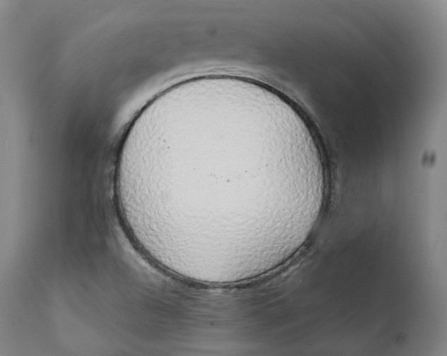 X0000111211504200907151425