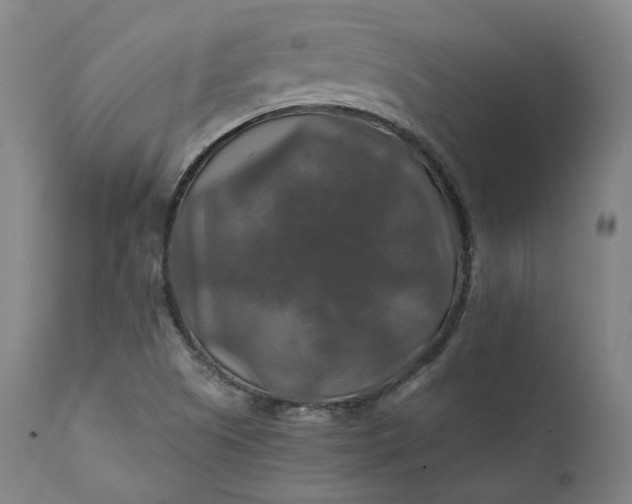 X0000111211505200907151425