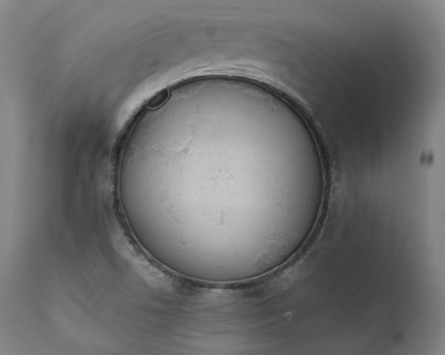 X0000111211506200907151425