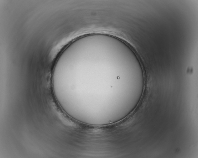 X0000111211507200907151425