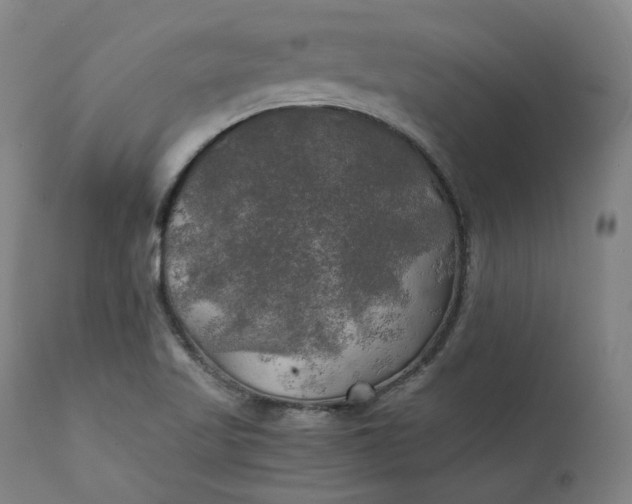 X0000111211509200907151425