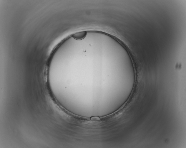 X0000111211510200907151425