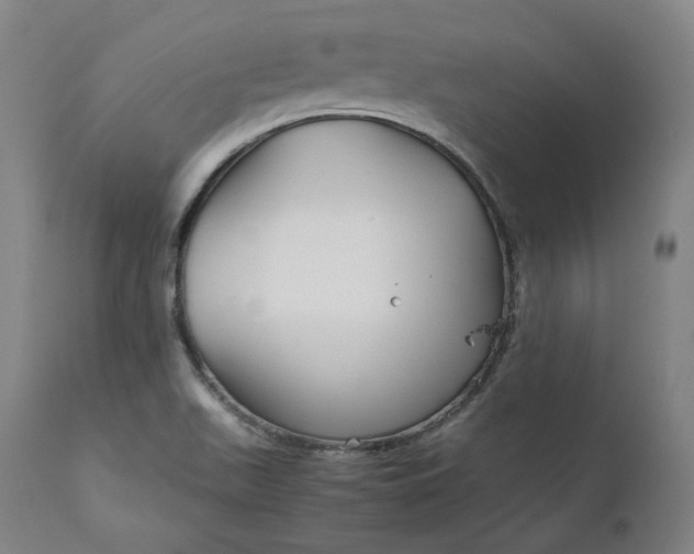 X0000111211511200907151425