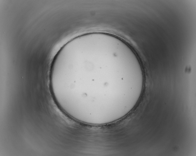 X0000111211512200907151425