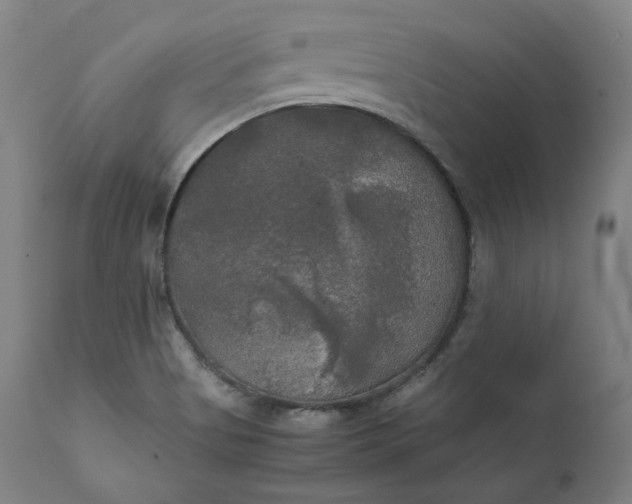 X0000111211513200907151425