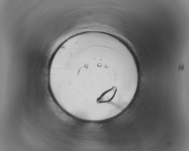 X0000111211514200907151425