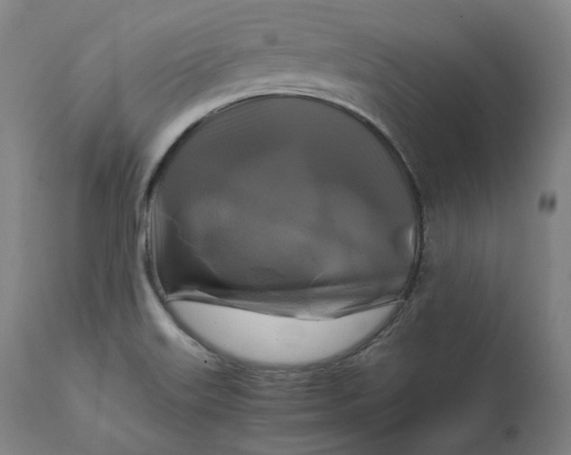 X0000111211515200907151425