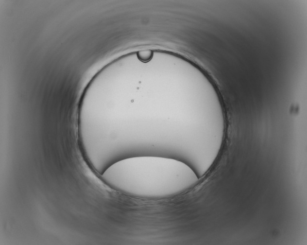 X0000111211516200907151425