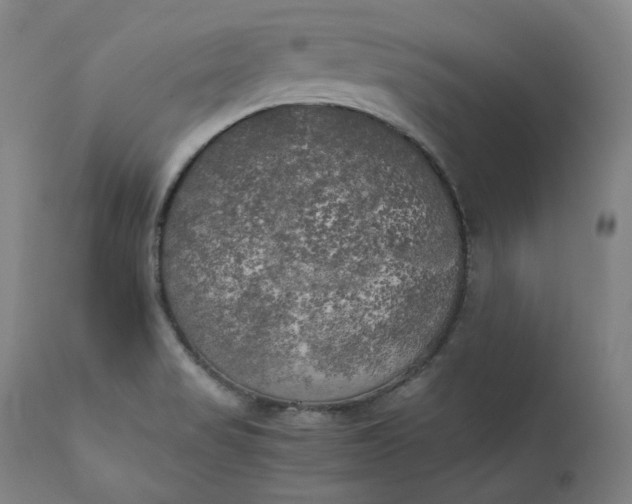 X0000111211517200907151425