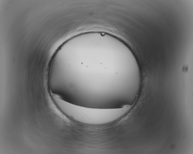 X0000111211518200907151425