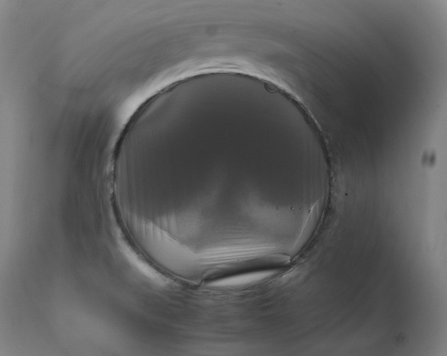 X0000111211519200907151425