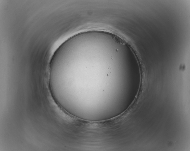 X0000111211520200907151425