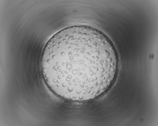 X0000111211521200907151425