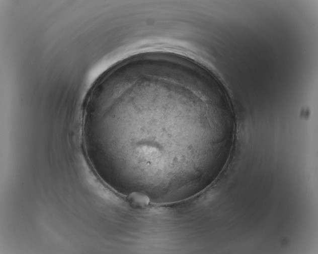 X0000111211522200907151425