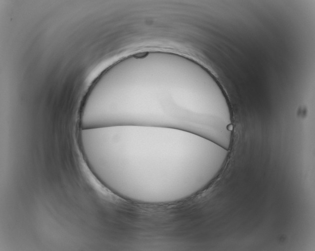 X0000111211523200907151425