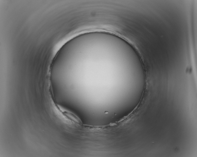 X0000111211524200907151426