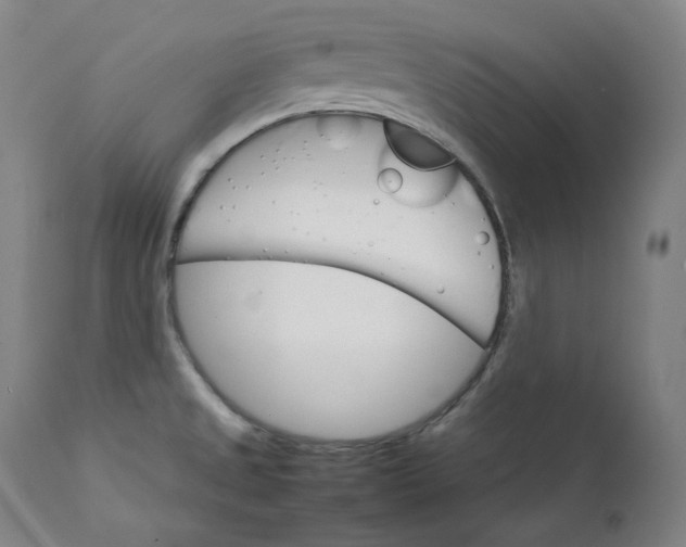 X0000111211525200907151426