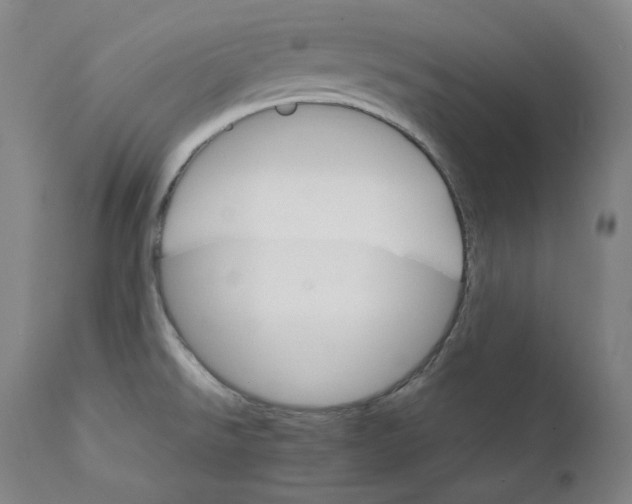 X0000111211526200907151426