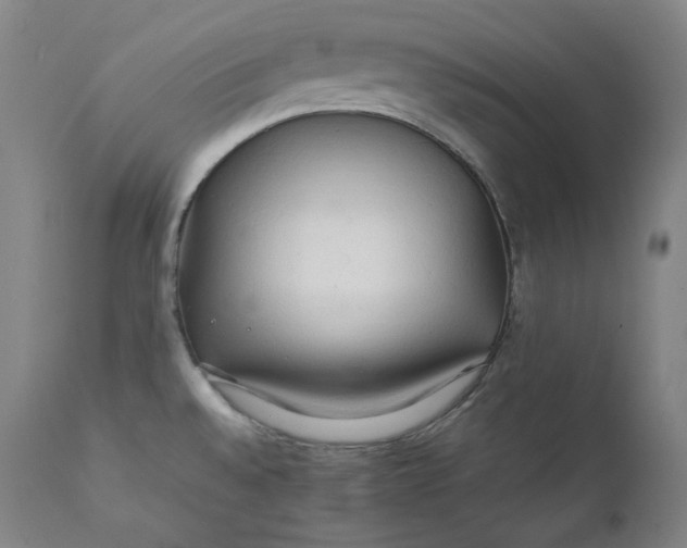 X0000111211528200907151426