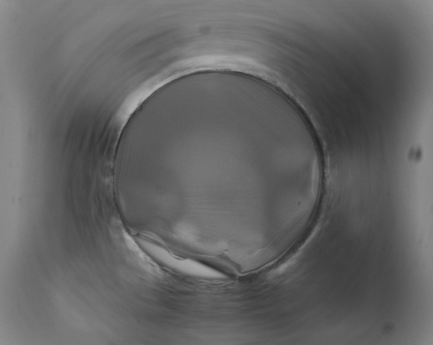 X0000111211529200907151426