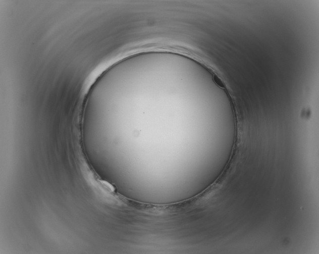 X0000111211530200907151426