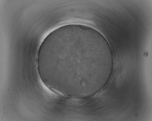 X0000111211531200907151426