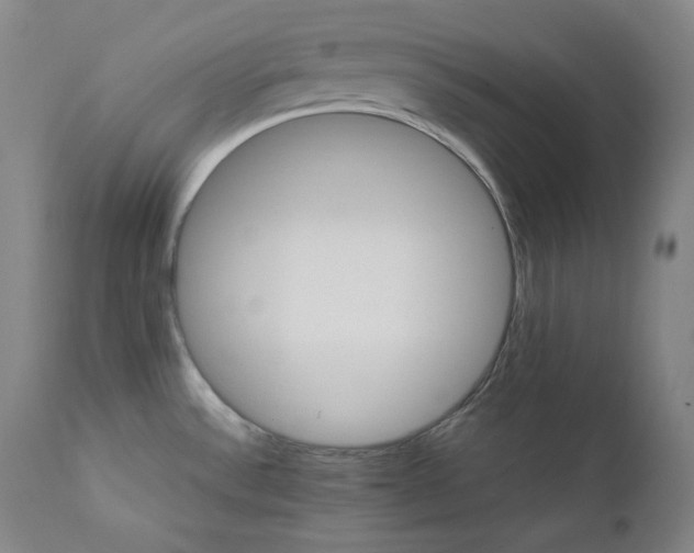 X0000111211532200907151426