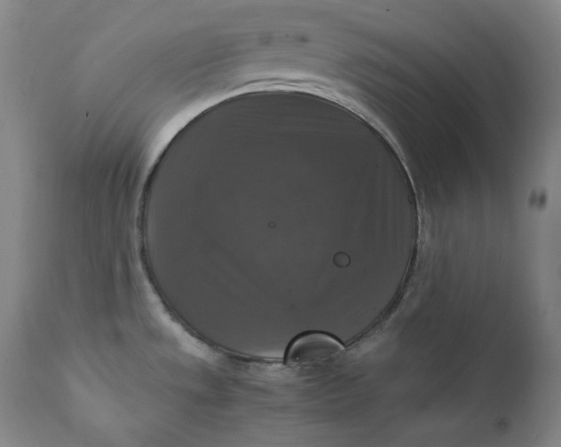 X0000111211533200907151426