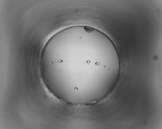 X0000111211534200907151426