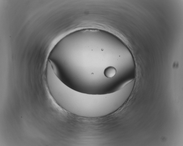 X0000111211536200907151426