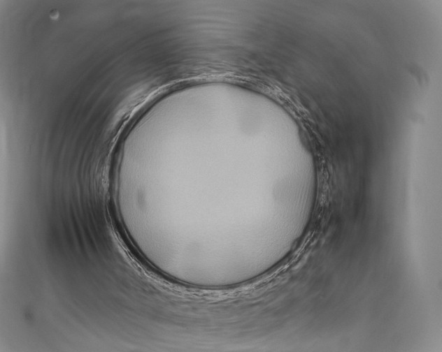 X0000111210002200907221200