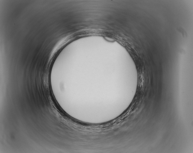 X0000111210004200907221200