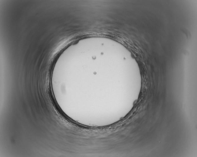 X0000111210005200907221200