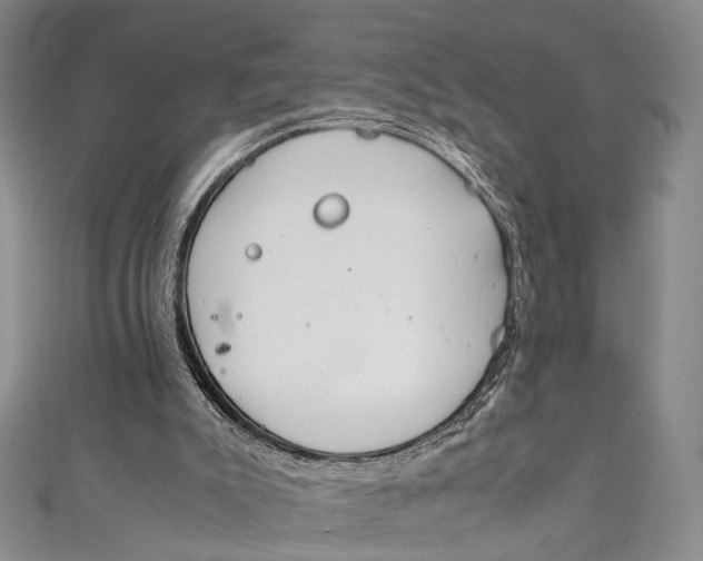 X0000111210007200907221200