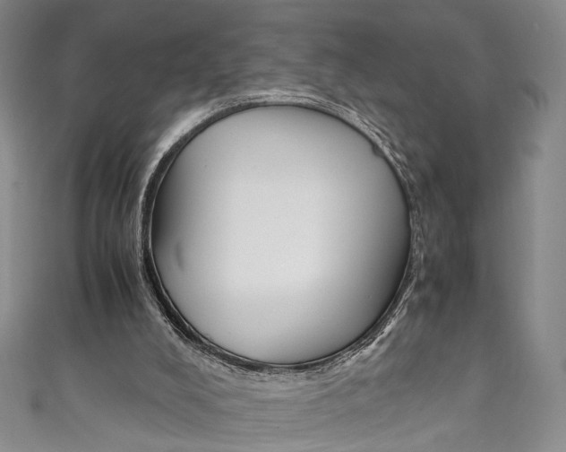 X0000111210008200907221200