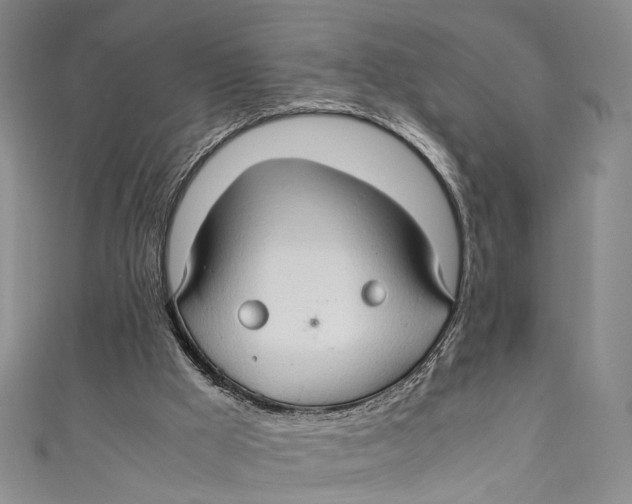 X0000111210009200907221200